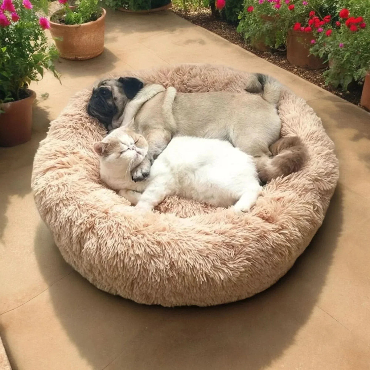 Super Soft & Comfortable for Relaxing Nights