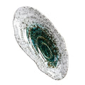 Shell-shaped ceramic dish for sushi & appetizers