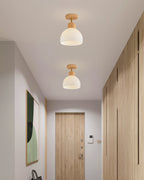 PerfkShine - Contemporary Ceiling Light