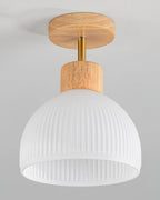 PerfkShine - Contemporary Ceiling Light