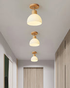 PerfkShine - Contemporary Ceiling Light