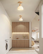PerfkShine - Contemporary Ceiling Light