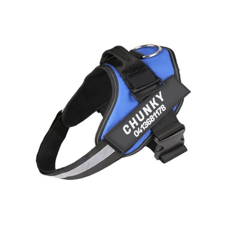 Personalisable dog harness for comfort & safety