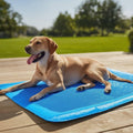 Universal Cooling Mat for Pets