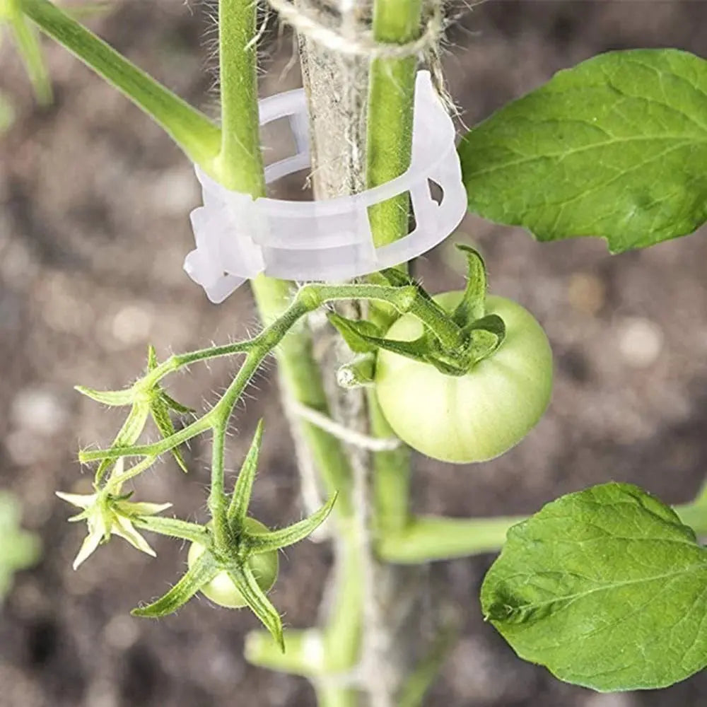 Plant clips for support – Gently secure & promote healthy growth