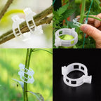 Plant clips for support – Gently secure & promote healthy growth