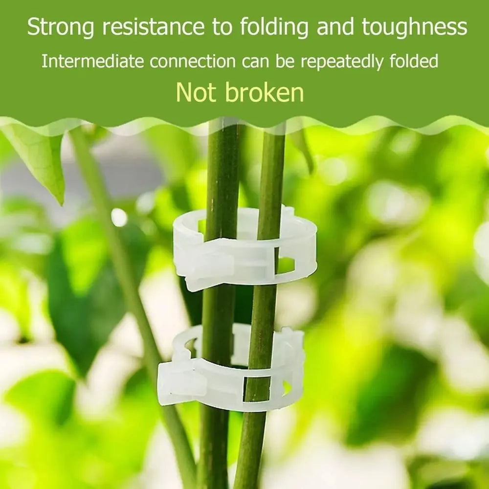 Plant clips for support – Gently secure & promote healthy growth
