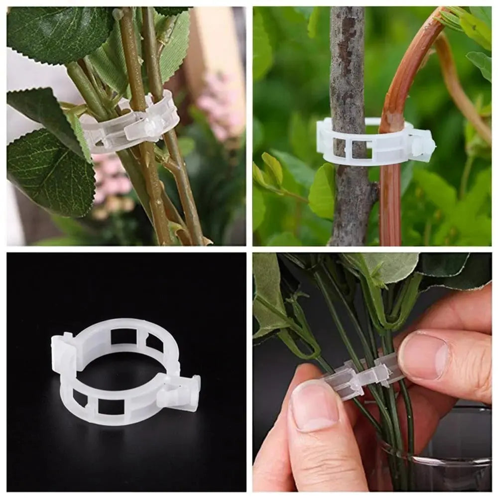 Plant clips for support – Gently secure & promote healthy growth