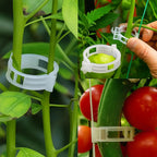 Plant clips for support – Gently secure & promote healthy growth