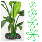 Plant Stem Stabilizer Set – For Healthy Growth & Secure Stand