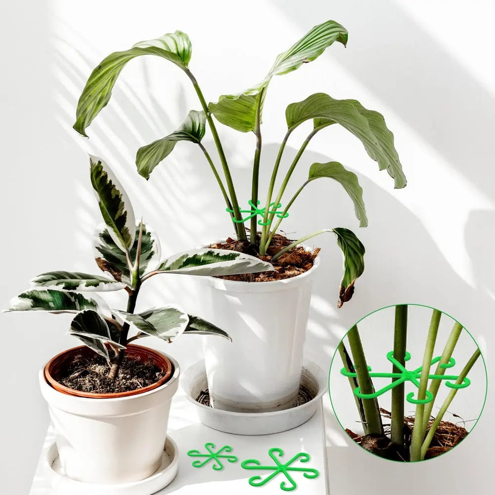Plant Stem Stabilizer Set – For Healthy Growth & Secure Stand