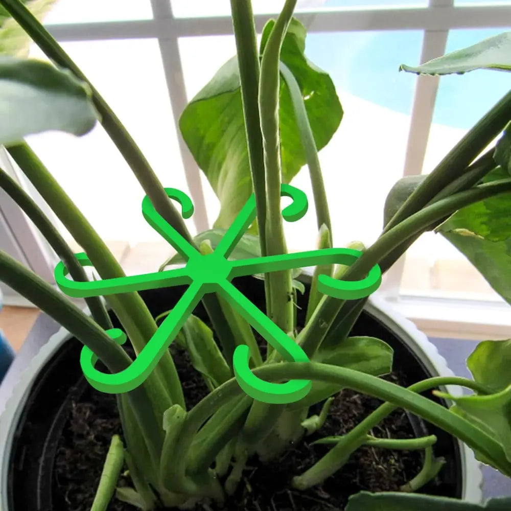 Plant Stem Stabilizer Set – For Healthy Growth & Secure Stand