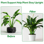 Plant Stem Stabilizer Set – For Healthy Growth & Secure Stand