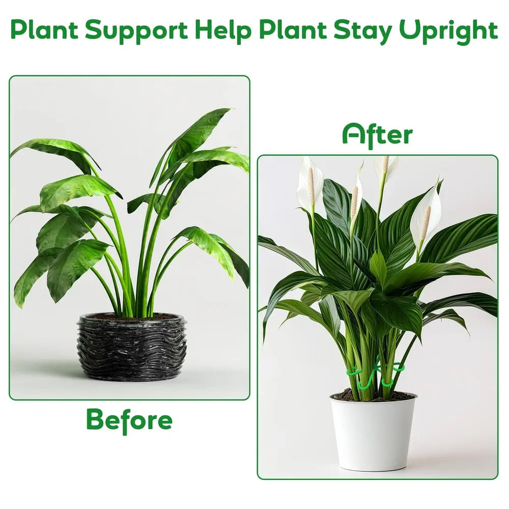 Plant Stem Stabilizer Set – For Healthy Growth & Secure Stand