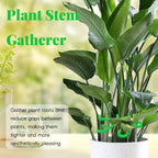 Plant Stem Stabilizer Set – For Healthy Growth & Secure Stand