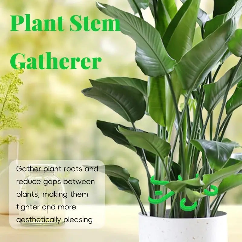 Plant Stem Stabilizer Set – For Healthy Growth & Secure Stand