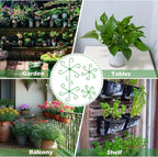 Plant Stem Stabilizer Set – For Healthy Growth & Secure Stand