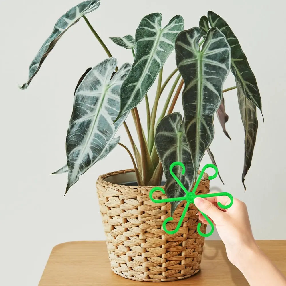 Plant Stem Stabilizer Set – For Healthy Growth & Secure Stand