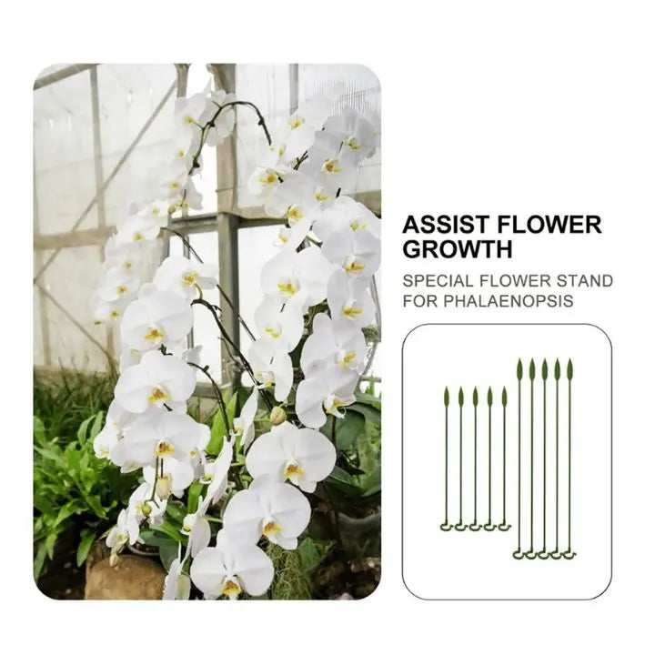 Plant support – Stable climbing aid for flowers & vegetables (20 pieces)