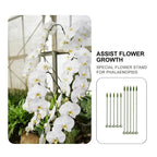 Plant support – Stable climbing aid for flowers & vegetables (20 pieces)