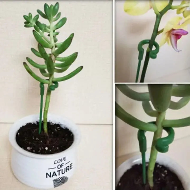 Plant support – Stable climbing aid for flowers & vegetables (20 pieces)