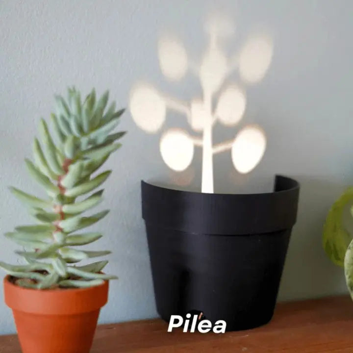 Plant pot with 7 light projections for wall decor