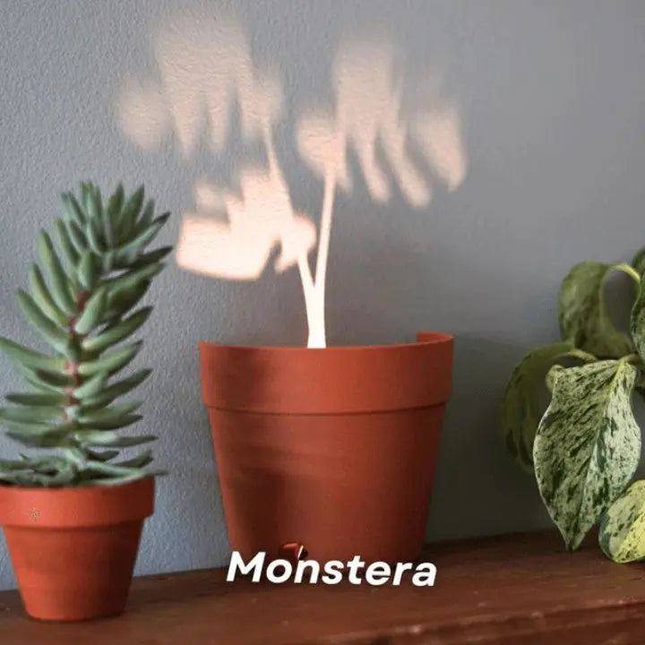 Plant pot with 7 light projections for wall decor