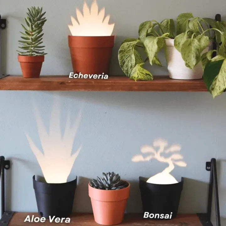Plant pot with 7 light projections for wall decor