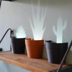 Plant pot with 7 light projections for wall decor