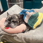 Orthopaedic dog cushion against stress & anxiety