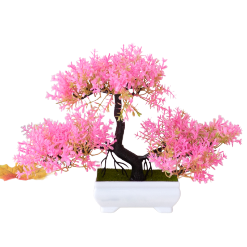 Bloom