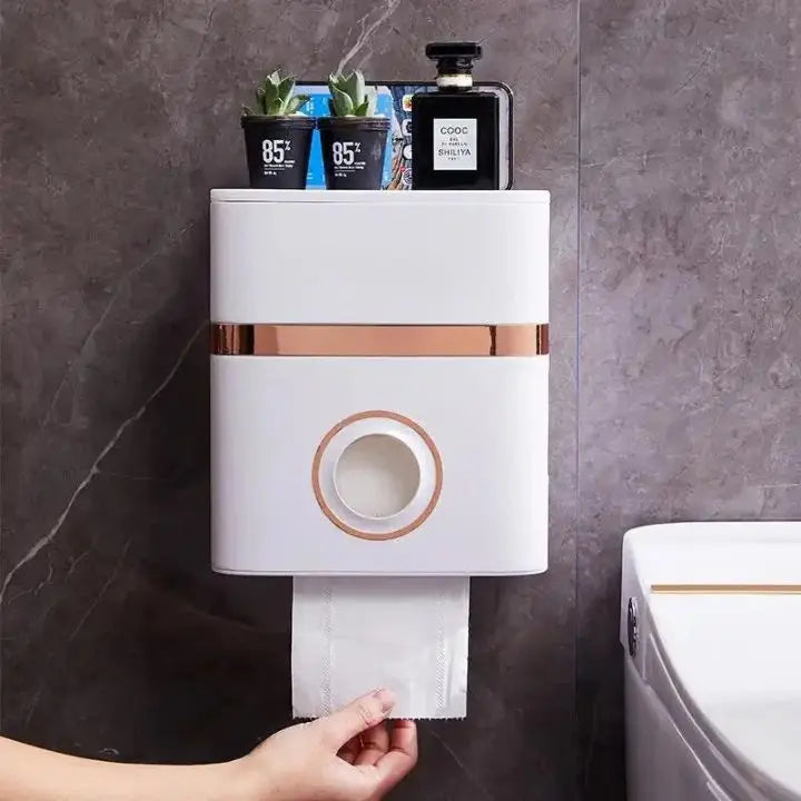 Space-saving, wall-mounted bathroom organizer