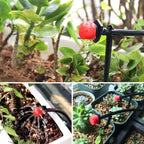 Precision irrigation dripper – Efficient plant care