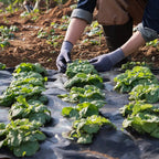 Premium Weed Fabric – Long-lasting pRedection for your garden