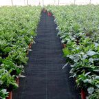 Premium Weed Fabric – Long-lasting pRedection for your garden