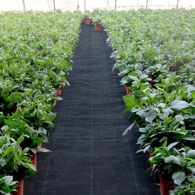 Premium Weed Fabric – Long-lasting pRedection for your garden
