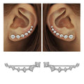 Glamour | Shiny Zircon 925 Sterling Silver Earring