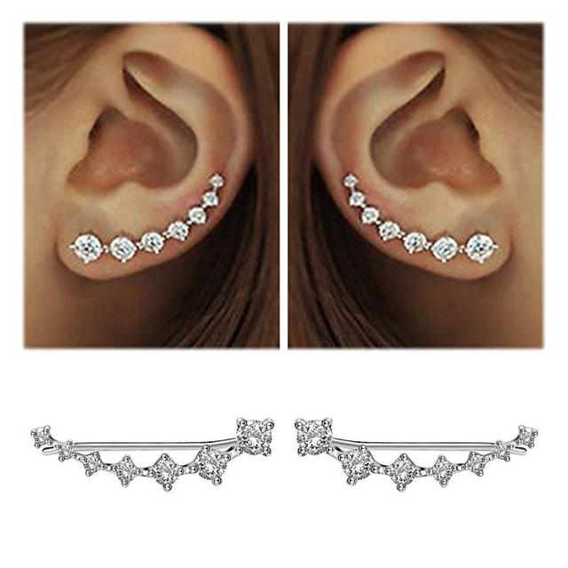 Glamour | Shiny Zircon 925 Sterling Silver Earring