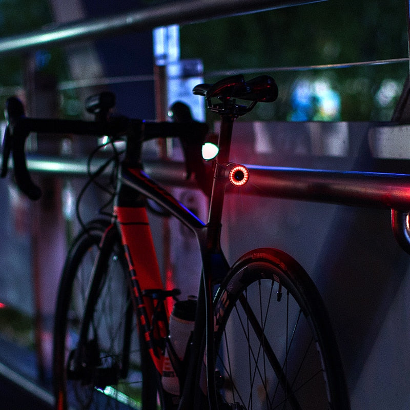Slim bike taillight with automatic brake sensor and light detection