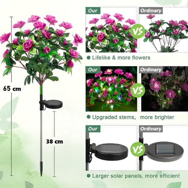 FlowerLume – Flowers that glow in the dark