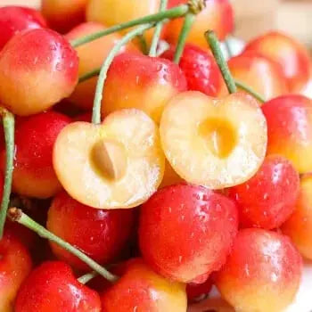 Rainier Cherry Seeds – High Quality Cherries
