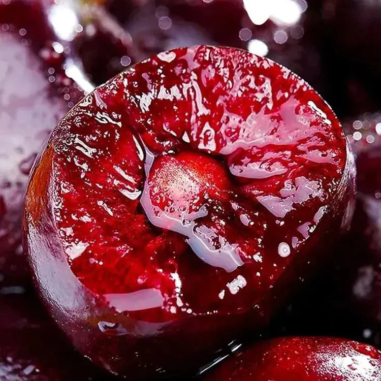 Rainier Cherry Seeds – High Quality Cherries