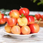 Rainier Cherry Seeds – High Quality Cherries