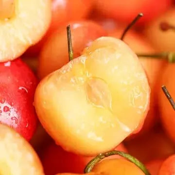 Rainier Cherry Seeds – High Quality Cherries
