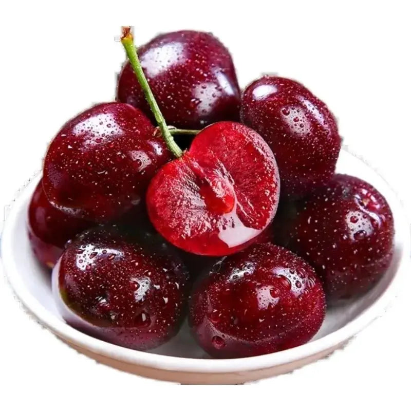 Rainier Cherry Seeds – High Quality Cherries