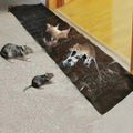 Mouse Glue Trap with Extra Adhesion for Relaxed Living Feel