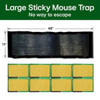Mouse Glue Trap with Extra Adhesion for Relaxed Living Feel