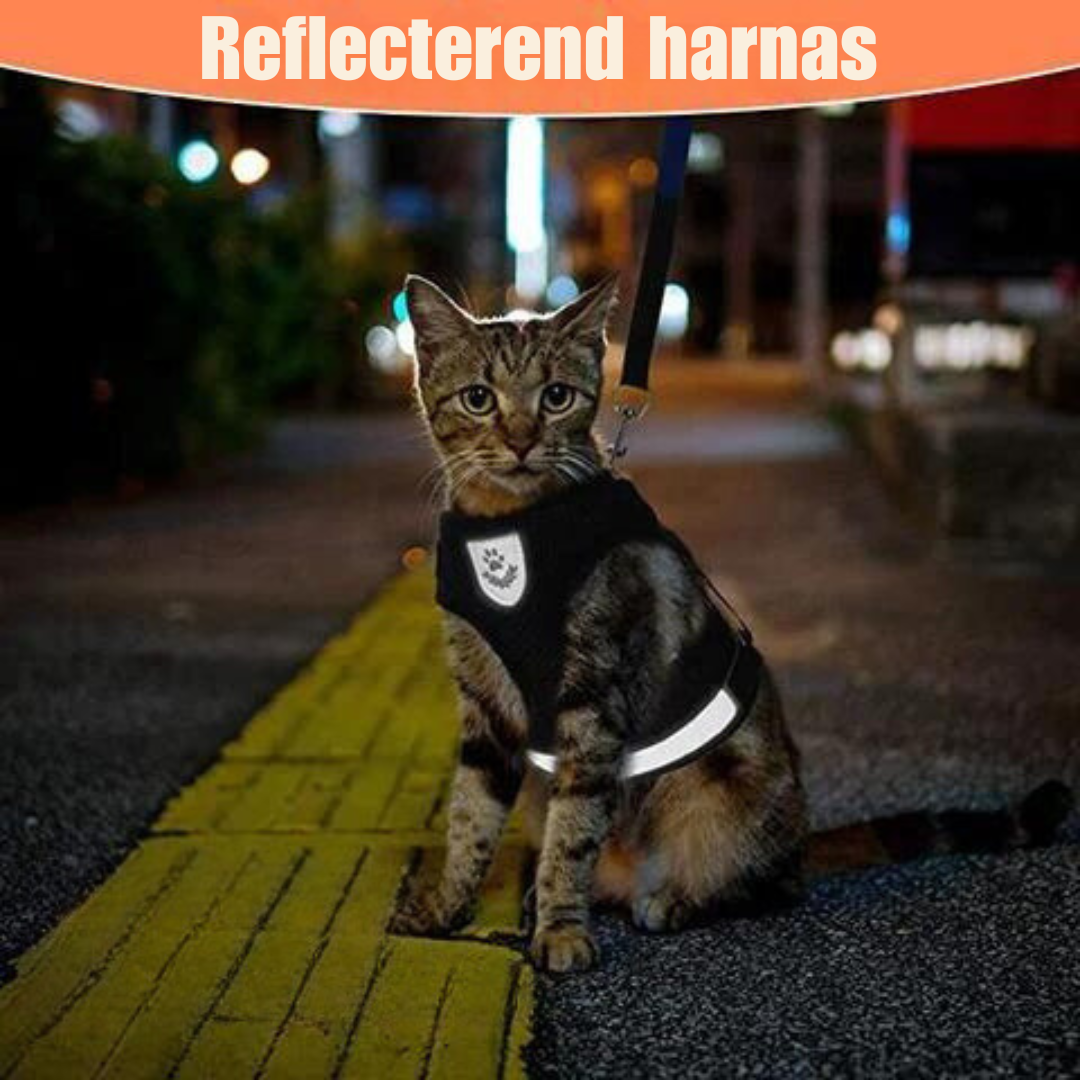 Reflective Cat Harness and Leash Set with Adjustable Straps for Safe Night Adventures – Comfortable Fit for Cats and Kittens