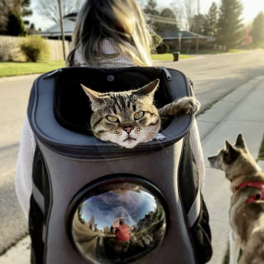 PurrVenture Backpack – Portable Pet Carrier for Cats and Small Pets