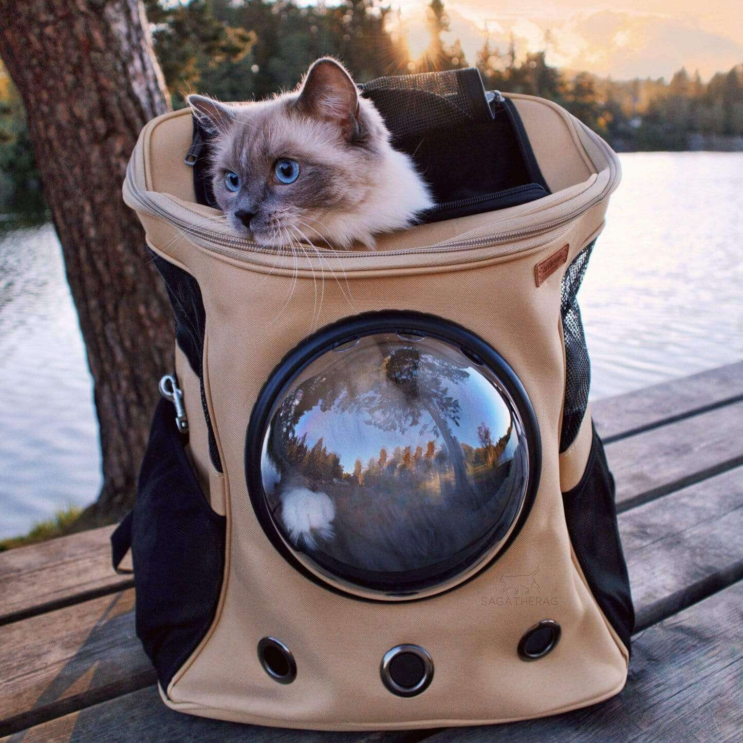 PurrVenture Backpack – Portable Pet Carrier for Cats and Small Pets